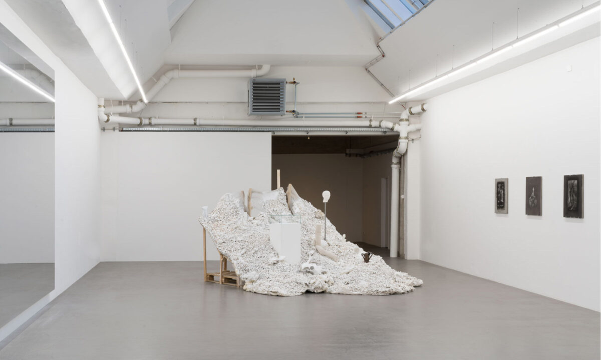 Martin Wühler - binary in-situ - synthetic media or an object that never existed - 2022